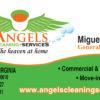 House Cleaning Business Card - Model 2