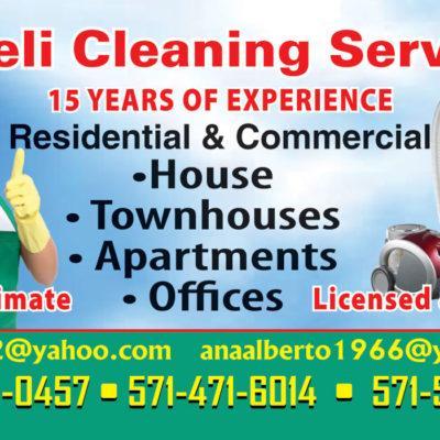 Daneli Cleaning Services 1
