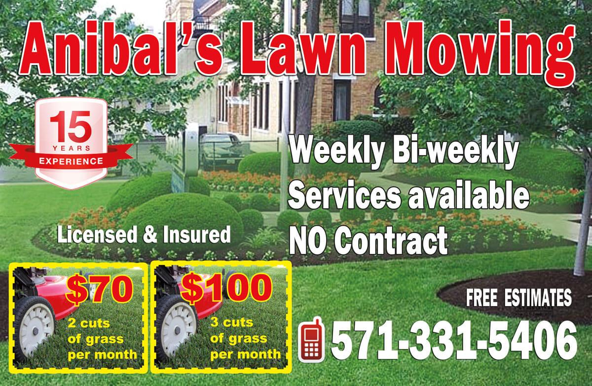 anibal'lawn-mowing_flyer