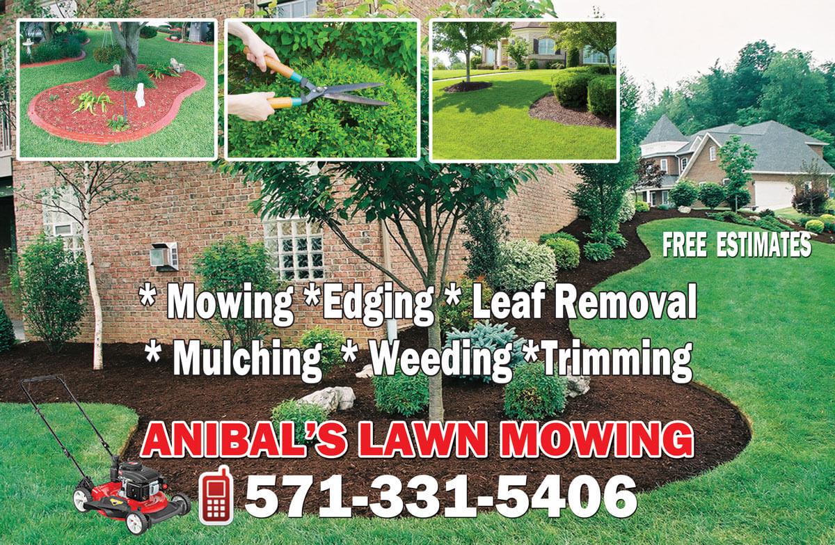 anibal'lawn-mowing_flyer_back